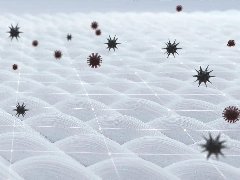 <b>抗菌紡織品知多少？后疫情時代紡織品開發(fā)方向</b>